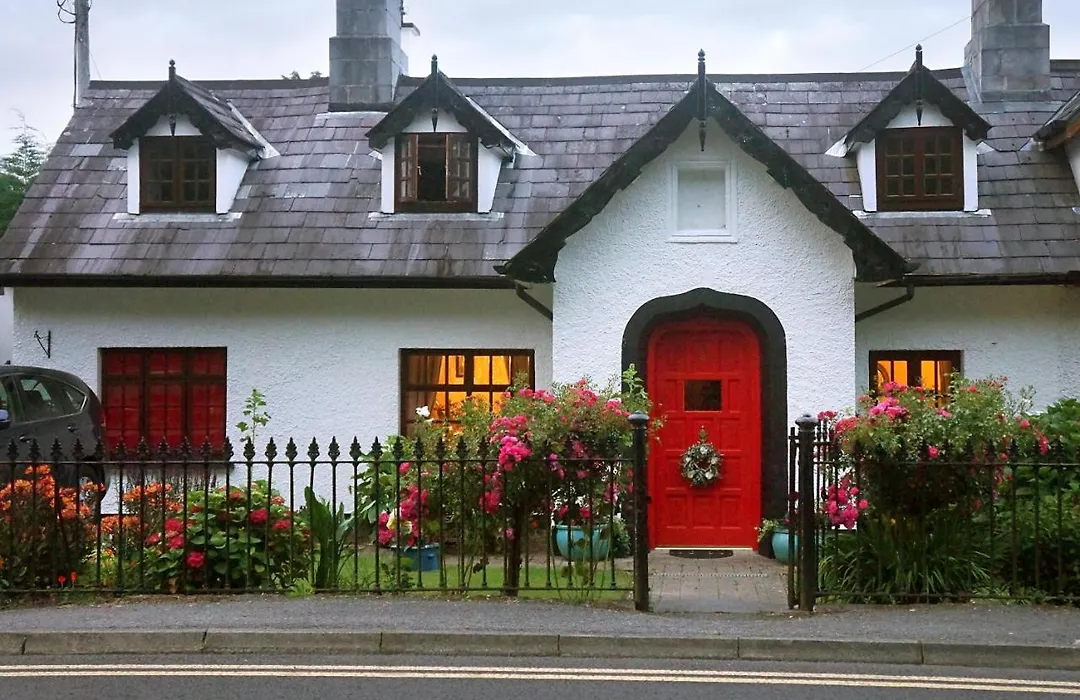 Ivy Cottage B&B-1